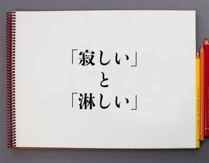 寂しいと淋しいの例文イメージ