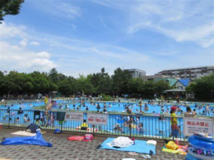 菊名池公園プールへのアクセス目安