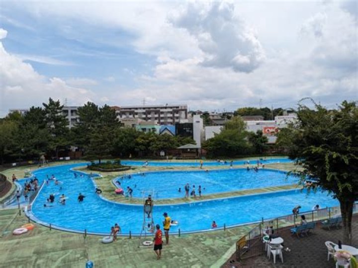 菊名池公園プール完全ガイド｜アクセス・料金・混雑の見方