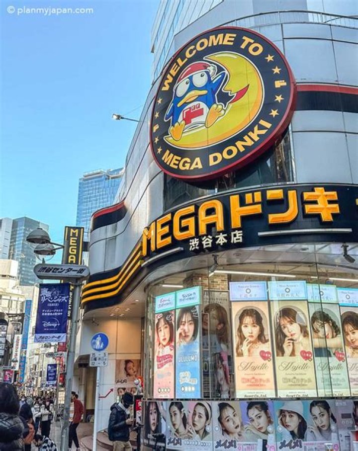 「メガドン・キホーテ甲府店」徹底ガイド—行き方から売場の特徴まで