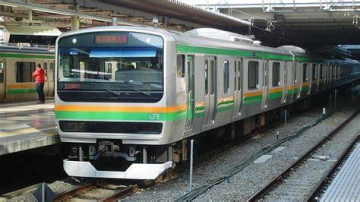 湘南から新宿へ「ライン グリーン車」：乗り方と選び方の実用ガイド